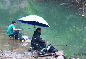 釣的魚怎么保存？釣的魚吃不完怎么保存？