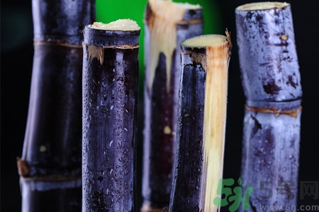 老人一天吃多少甘蔗最好？老人一天吃多少甘蔗合適？