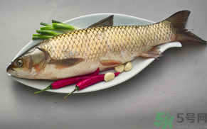 秋天怎么釣草魚？秋天草魚好釣嗎？