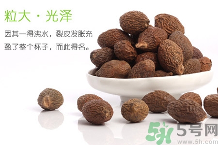 胖大海泡水后能吃嗎？胖大海的功效與作用
