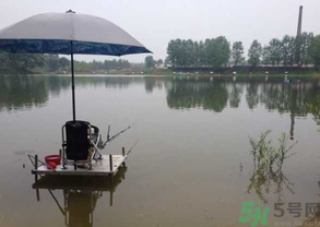 水庫釣魚用什么餌料？水庫釣魚用什么商品餌？