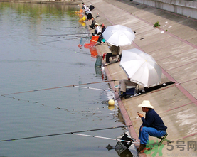 水庫釣魚用什么餌料？水庫釣魚用什么商品餌？