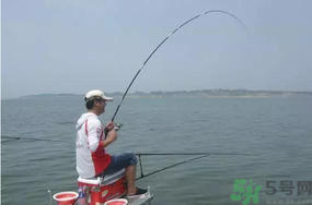 陰天好釣魚(yú)嗎？陰天釣魚(yú)好釣嗎？