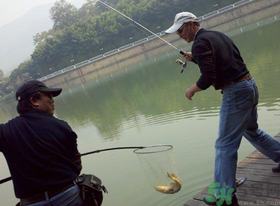 秋季釣黑魚用什么魚餌？秋天釣黑魚用什么餌？