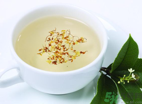 新鮮桂花能泡茶嗎？新鮮桂花怎么處理泡茶？