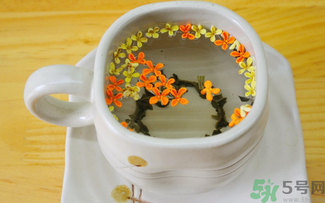剛摘的桂花可以泡茶嗎？剛摘的桂花能泡茶嗎？