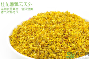 剛摘的桂花有蟲怎么辦？干桂花長蟲怎么辦？