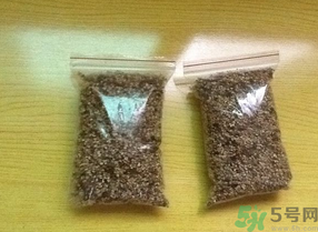 桂花怎么曬干？桂花曬好后可以做什么？