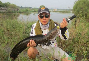 路亞釣黑魚用什么假餌？路亞釣黑魚用什么餌？