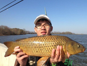 夜釣鯉魚用什么餌料？秋天夜釣鯉魚用什么餌料？
