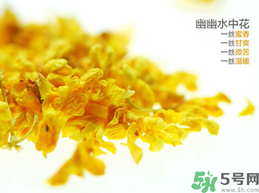 桂花可以泡水喝嗎？桂花怎么泡水？