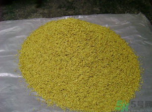 桂花可以做枕頭嗎？桂花做枕頭有什么功效？