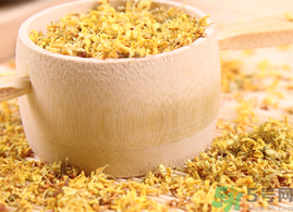 新鮮桂花能泡茶嗎？新鮮怎么處理泡茶？