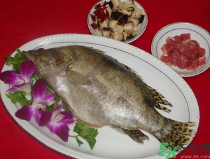桂魚怎么保存？桂魚放冰箱怎么保存？