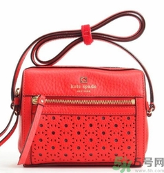 kate spade和coach哪個(gè)好？凱特絲蓓好還是蔻馳好？