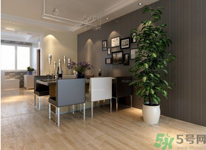 桂花樹可以種在室內(nèi)嗎？桂花樹適合在室內(nèi)嗎？