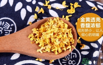 喝桂花茶會上火嗎？喝桂花茶上火怎么辦？