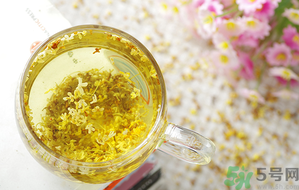 月經(jīng)期能喝桂花茶嗎？經(jīng)期能喝桂花茶嗎？