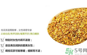 月經(jīng)期能喝桂花茶嗎？經(jīng)期能喝桂花茶嗎？