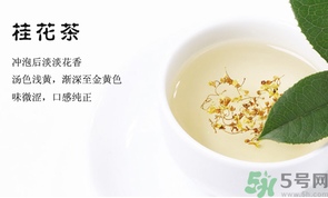 月經(jīng)期能喝桂花茶嗎？經(jīng)期能喝桂花茶嗎？