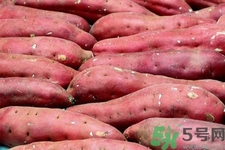 紅薯怎么吃最好？紅薯一天吃多少最好？