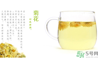 菊花茶可以放冰箱嗎？菊花茶能放冰箱冷凍嗎？