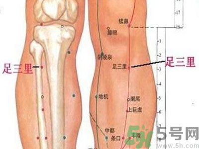 艾灸足三里有什么好處？艾灸足三里的功效