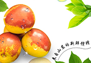 冬棗洗了可以放冰箱嗎？冬棗放冰箱好還是不放冰箱好？