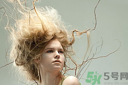 頭發(fā)愛(ài)靜電和什么有關(guān)系嗎？預(yù)防靜電的小妙招