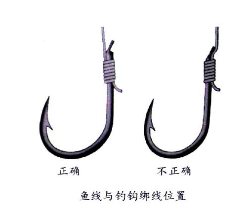 釣鯉魚用幾號(hào)鉤？釣鯉魚用什么鉤？