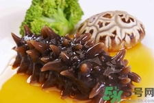 吃海參會(huì)上火嗎？經(jīng)常吃海參會(huì)上火嗎？