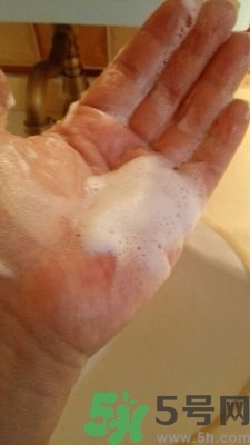 雪完美洗面奶怎么用?雪完美洗面奶使用方法 雪完美洗面奶怎么用?雪完美洗面奶使用方法