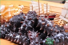 新鮮海參怎么吃最好？新鮮海參生吃最好嗎？