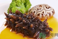 新鮮海參怎么吃最好？新鮮海參生吃最好嗎？