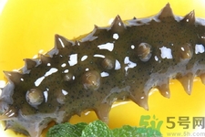 新鮮海參能生吃嗎？新鮮海參是生吃好還是熟吃好？