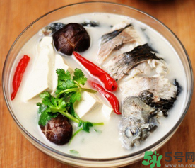 鯽魚(yú)湯的營(yíng)養(yǎng)價(jià)值 鯽魚(yú)湯的功效與作用