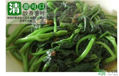紅薯葉哺乳期可以吃嗎？紅薯葉產(chǎn)婦可以吃嗎？