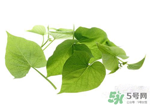 紅薯葉吃多了好嗎？紅薯葉吃多了會(huì)怎樣？