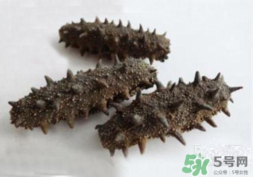 海參肚子里的筋能吃嗎？海參肚子里的筋吃了有什么作用？