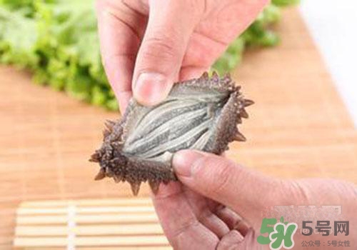海參肚子里的筋能吃嗎？海參肚子里的筋吃了有什么作用？