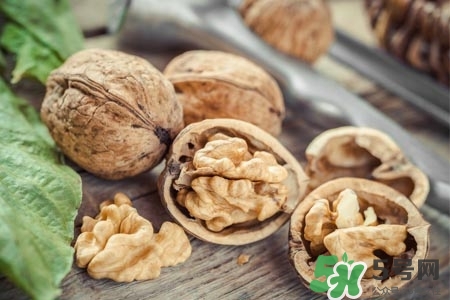 核桃能天天吃嗎？孕婦核桃一天吃幾個最好？