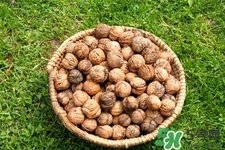 經常吃核桃記憶力會提高嗎？長期吃核桃有什么好處？