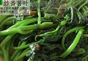 紅薯葉不能和什么一起吃？紅薯葉什么不能吃？