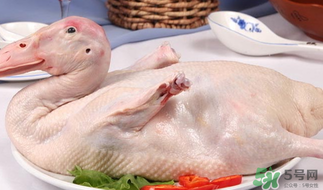 鴨肉可以放冰箱嗎？鴨肉放冰箱能保鮮多久？