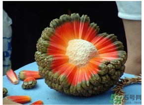 露兜果怎么吃？露兜果的功效作用