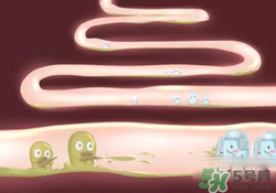 益生菌可以長(zhǎng)期吃嗎？益生菌什么時(shí)候吃比較好？