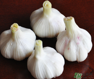 2017年大蒜多少錢一斤？2017年大蒜價格預(yù)測