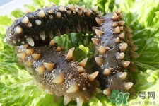 腎虛能吃海參嗎？吃海參對(duì)腎好嗎？