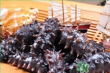 腎虛能吃海參嗎？吃海參對(duì)腎好嗎？