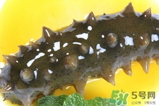 怎樣鑒別新鮮海參的好壞？干海參如何鑒別真假